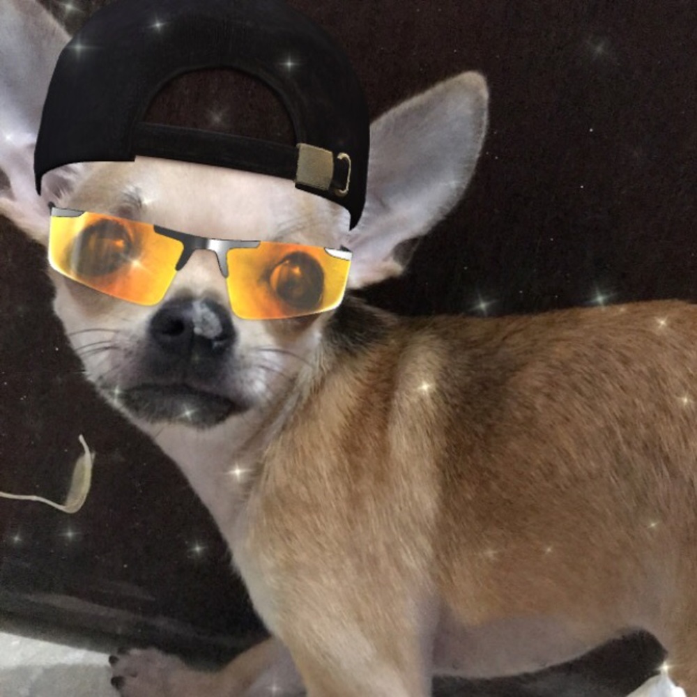 Meet your Posher, Lianys